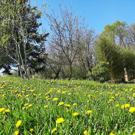 Chambre Soignee Et Accueillante A La Campagne - Ch. Jaune L'Honor-de-Cos المظهر الخارجي الصورة