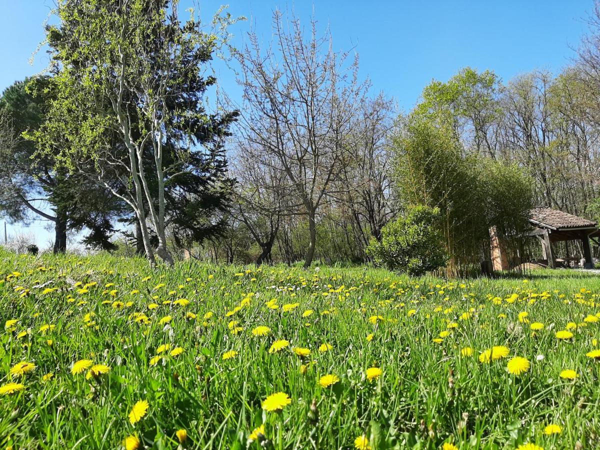 Chambre Soignee Et Accueillante A La Campagne - Ch. Jaune L'Honor-de-Cos المظهر الخارجي الصورة